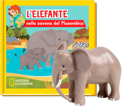 L'ELEFANTE