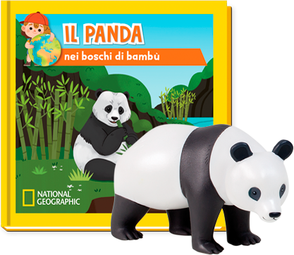 IL PANDA